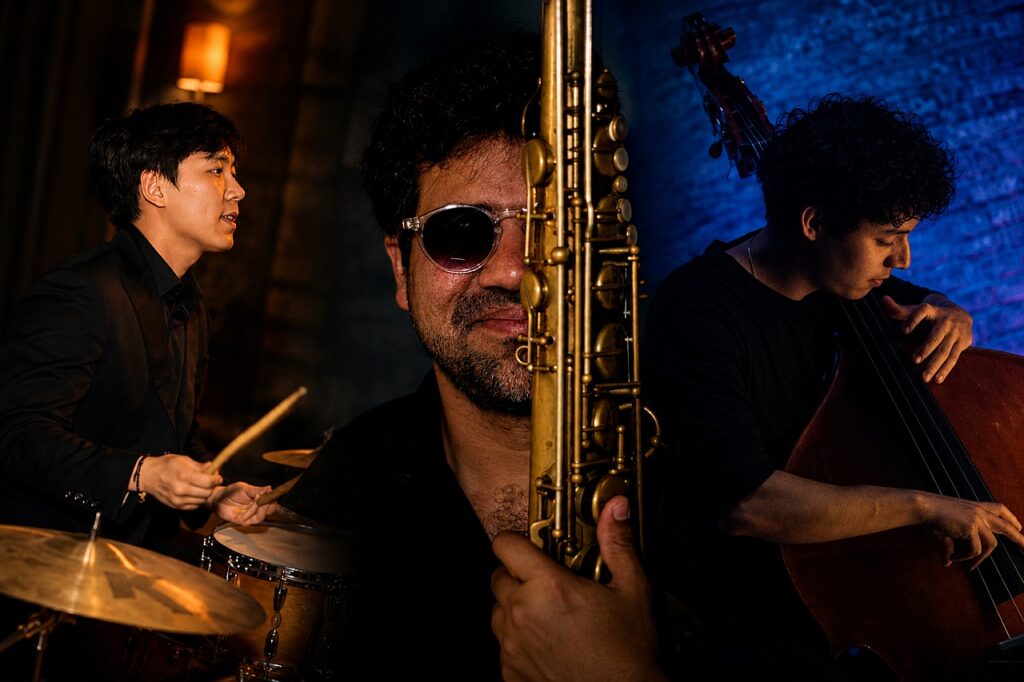 Nothing to Declare Trio